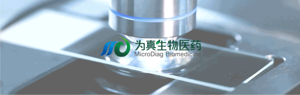 王莹院长领衔，王弢博士技术负责的研发项目获浙江省2024年度“尖兵”“领雁”研发攻关计划项目立项